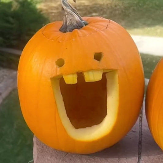 Dumb Ahh Pumpkin