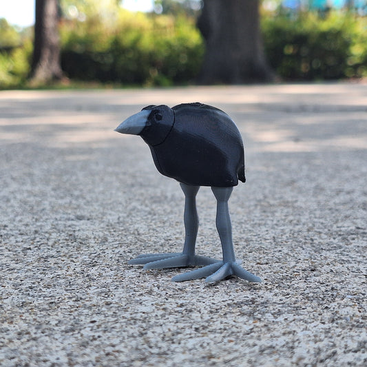 Pukeko Bird