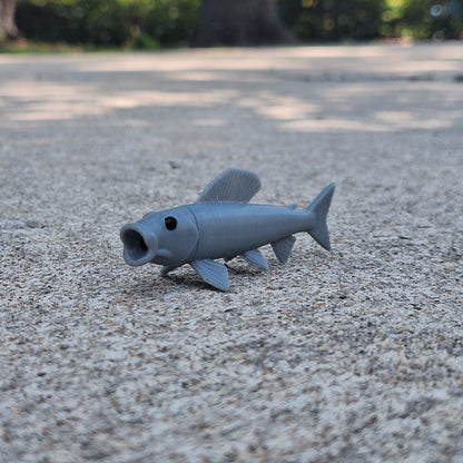 Pog Fish